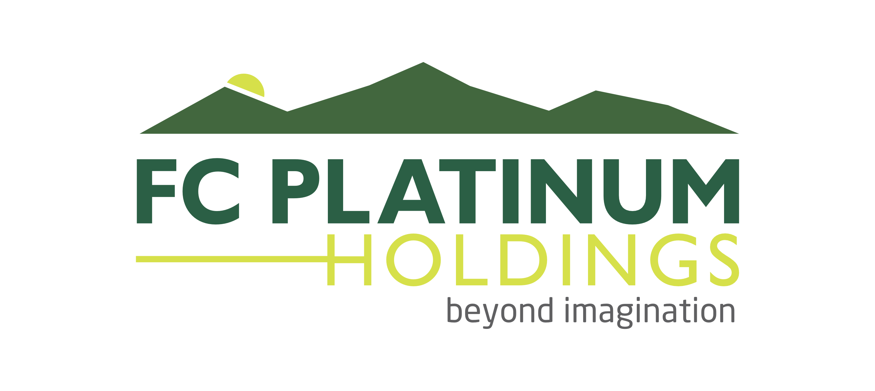 FC Platinum Holdings